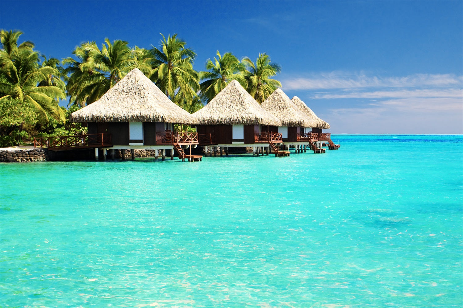 Tropical Backdrop Tropische Insel Wasser Bungalow Sommerhintergrund GTY3-383