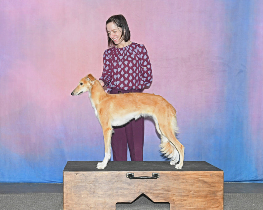 Abstrakte Textur Fotostudio Hintergrund HF-0021