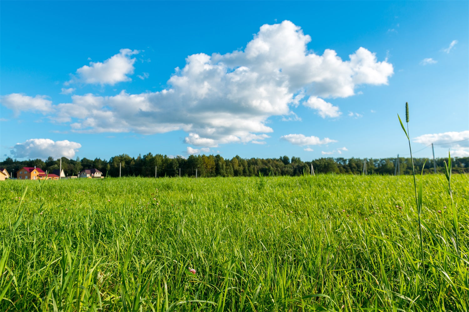 Sky Backdrop Fotografie Grüne Wiese Blauer Hintergrund LXX1-301