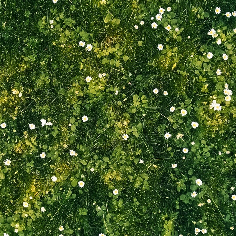 Floor Backdrop Weiße Blütenblätter Grüne Wiese Floor Backdrop LXX2-229
