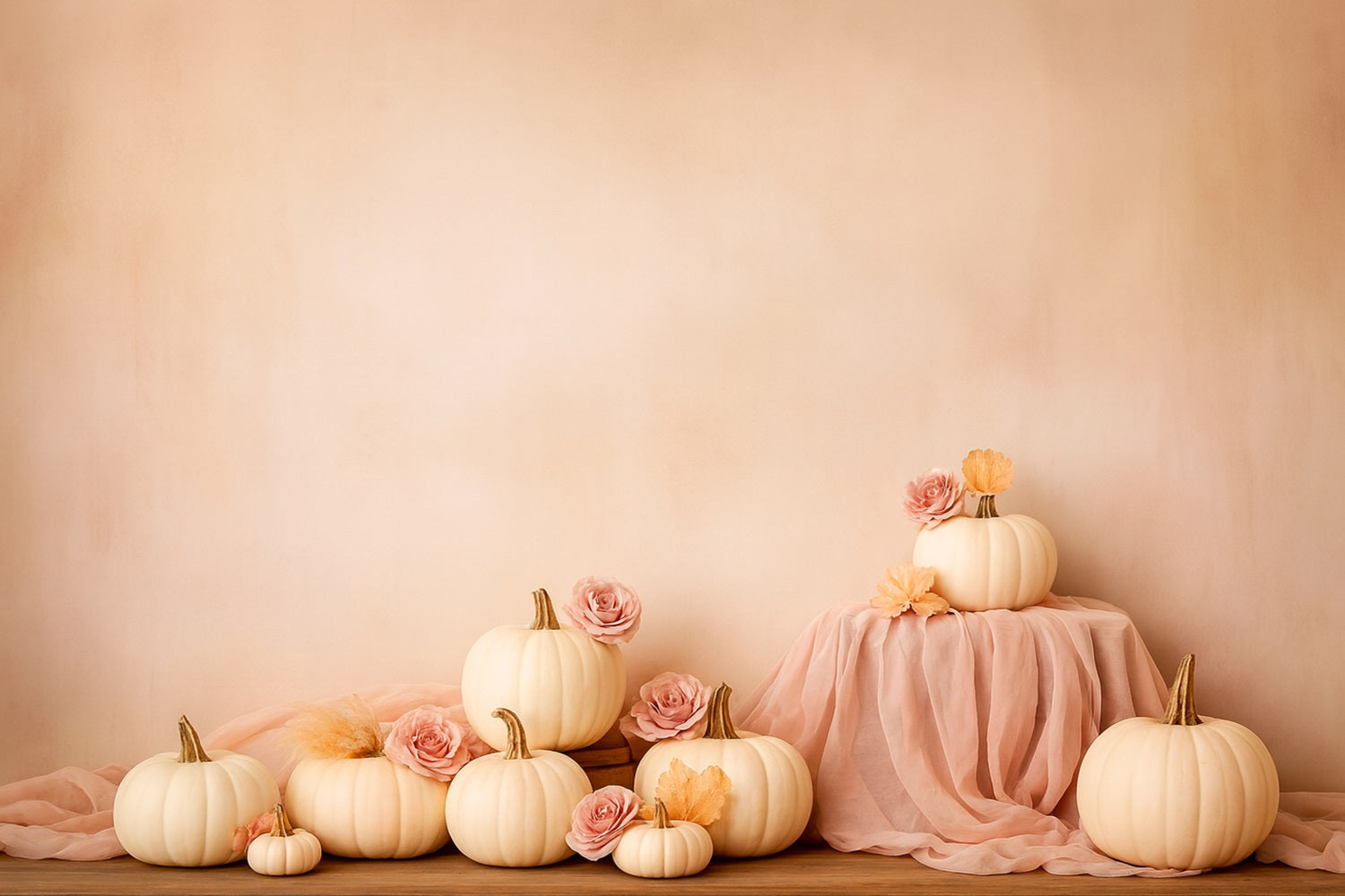 K¨¹rbis-Hintergrund Weiche K¨¹rbisrosen Eleganz Thanksgiving-Hintergr¨¹nde LXX510-44