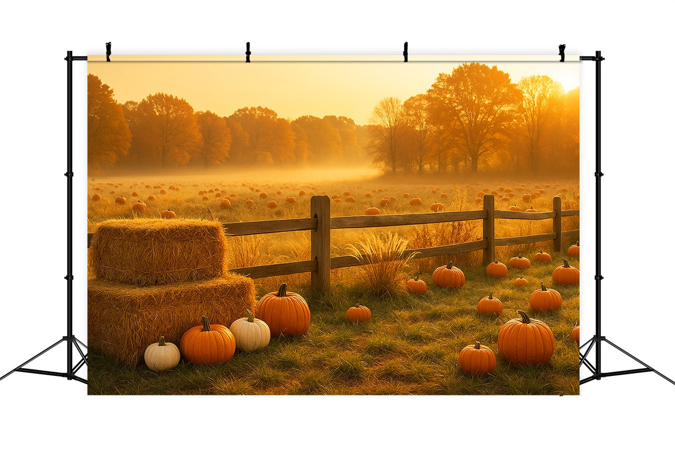 K¨¹rbisbeet-Hintergrund Goldene Wiese K¨¹rbisfeld Thanksgiving-Hintergrund LXX510-48