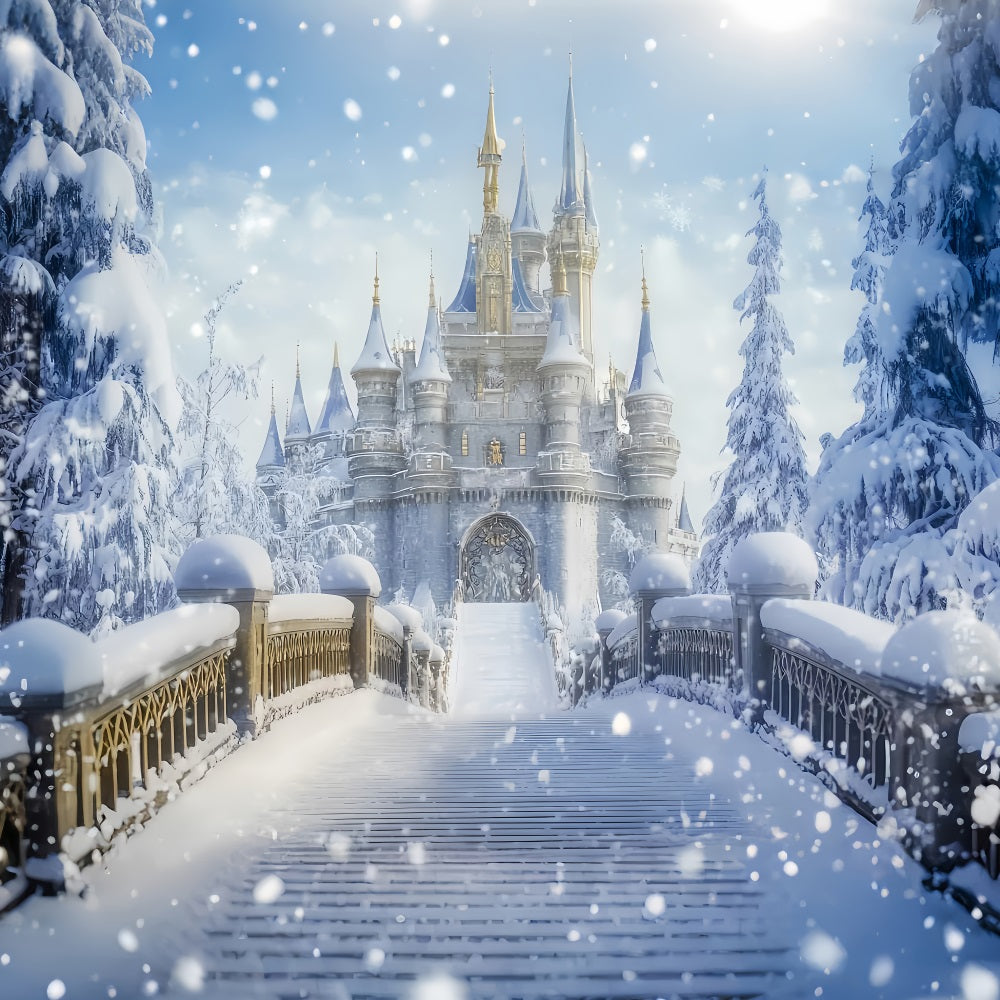 Wunderland-Hintergrund Verschneite Burg Brücke Fantasie Winter-Fotografie-Hintergründe LXX510-64