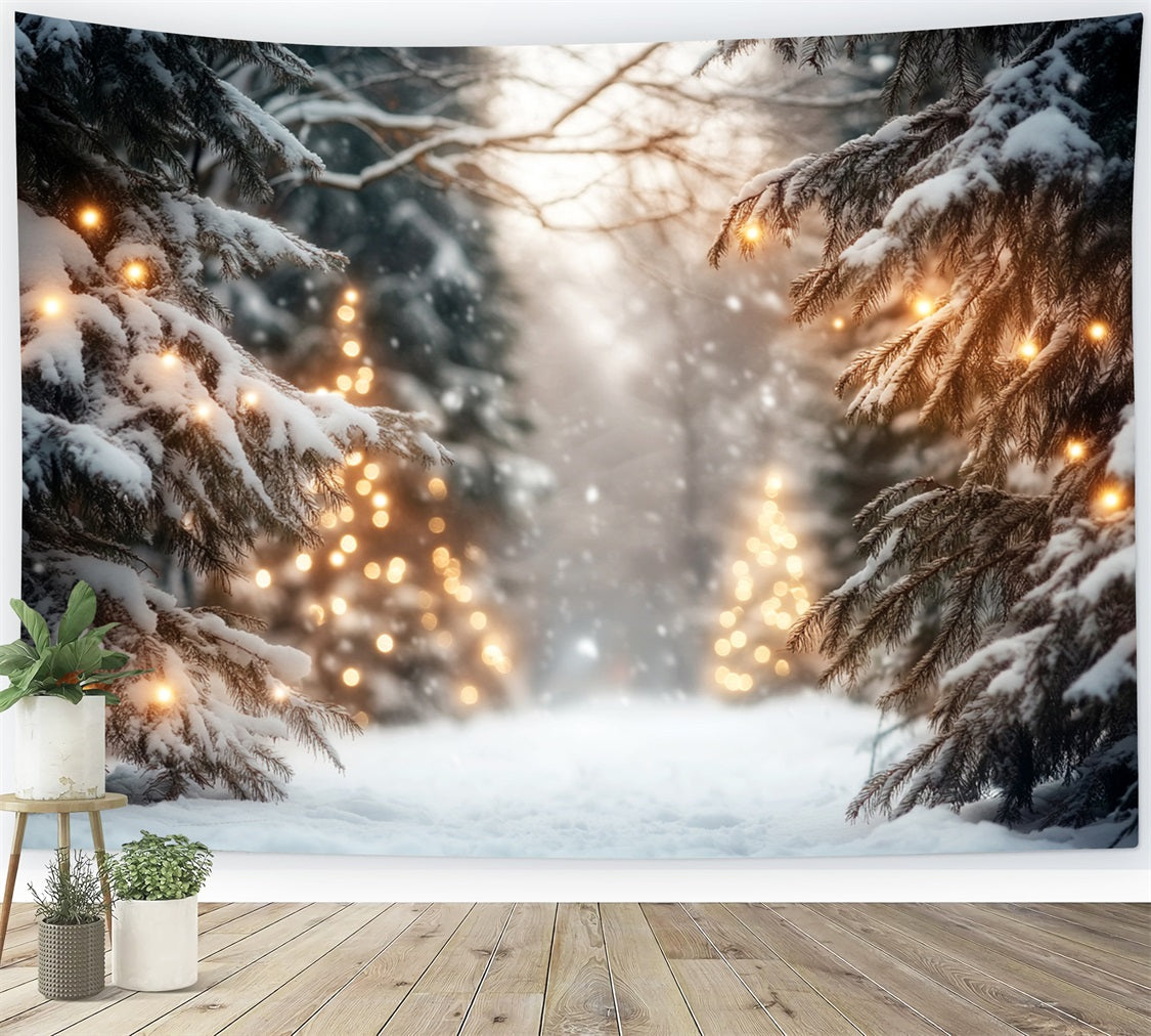Winterwunderland-Hintergrund Verschneite Kiefer Lichtweg Winter-Hintergründe LXX510-76