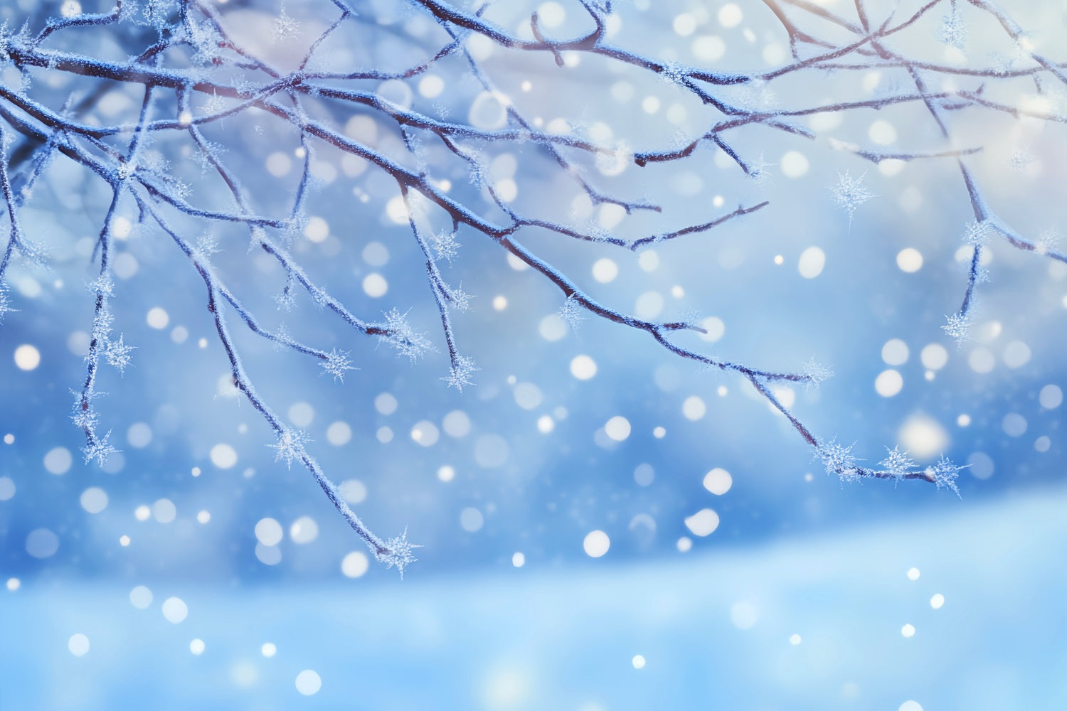 Winter-Schnee-Hintergrund Vereister Ast Schneeflocken Glühen Winter-Fotohintergründe LXX510-80