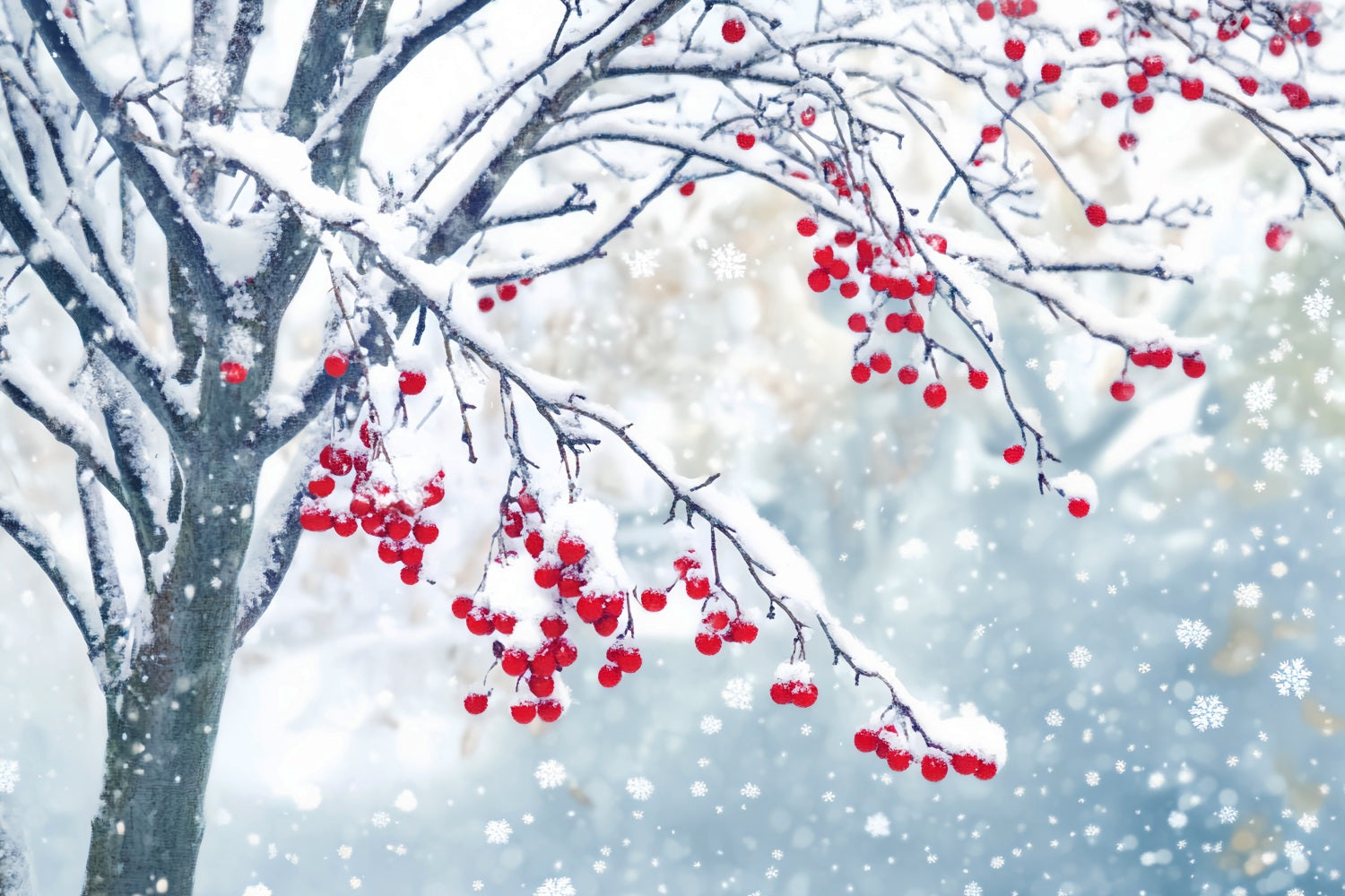 Winter-Schnee-Hintergrund Rote Beeren Schneezweige Winter-Fotohintergründe LXX510-83