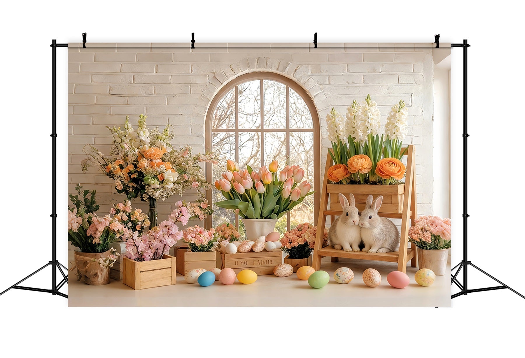 Tulpen Hintergrund Sonniger Frühling Hase Blumen Studio Peter Rabbit Hintergrund LXX512-113