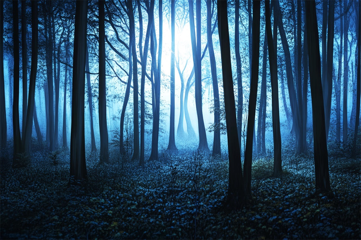 Dark Forest Hintergrundkulisse Midnight Mist Grove Hintergrundkulisse LXX57-115