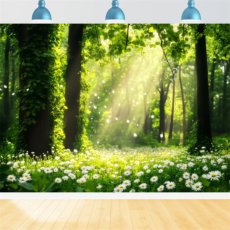 Wald Fotokulisse Gänseblümchen Sonnenstrahl Wiese Kulisse LXX57-132