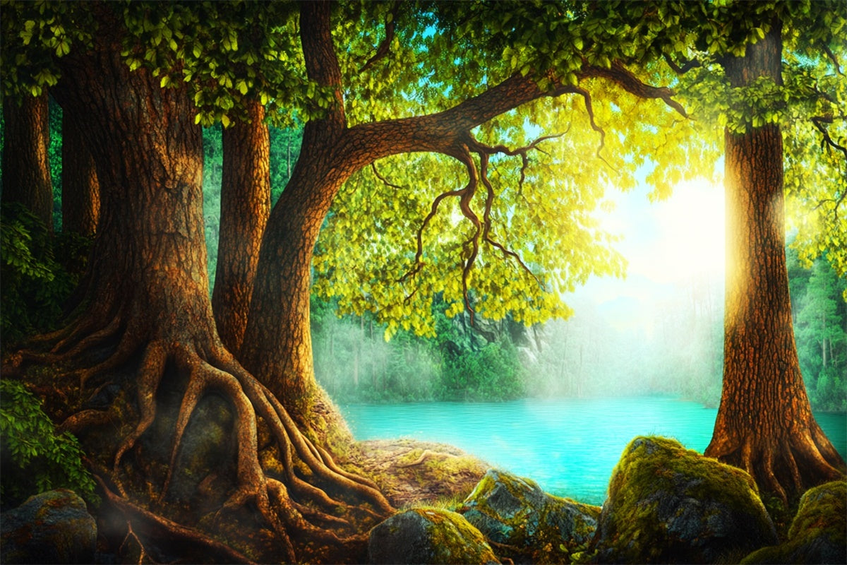 Backdrops Wald Alter Baum Ruhige Gewässer Backdrop LXX57-136