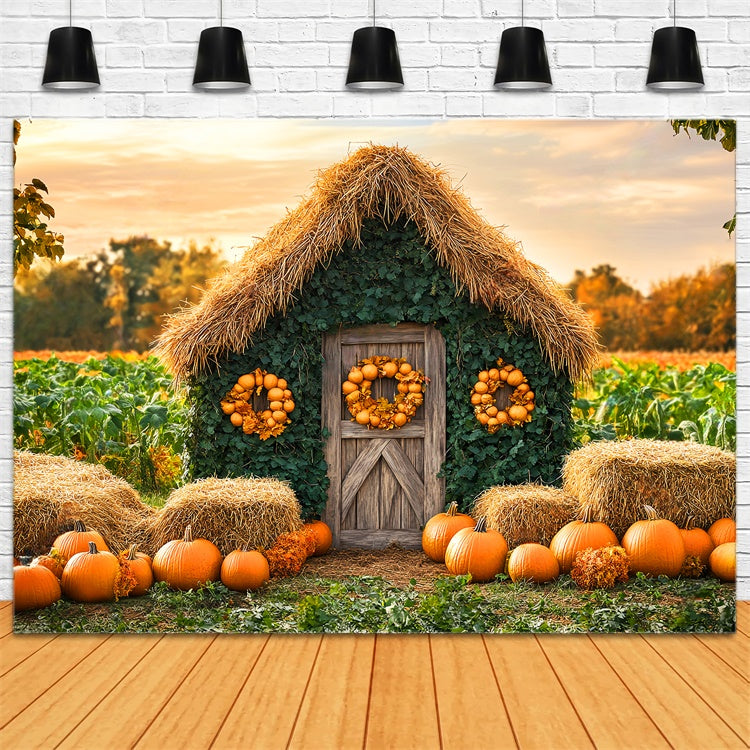 Herbst Fotokulisse Kürbisfeld Landhaus Hintergrund LXX57-154