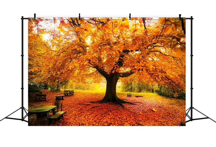 Herbstblätter Backdrop Herbst Vordach Fotohintergrund LXX57-177