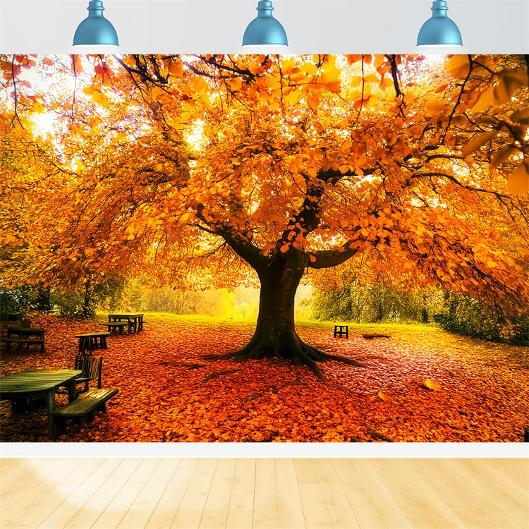 Herbstblätter Backdrop Herbst Vordach Fotohintergrund LXX57-177