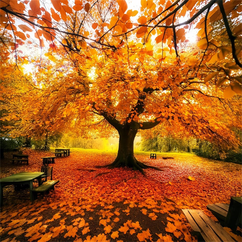 Herbstblätter Backdrop Herbst Vordach Fotohintergrund LXX57-177