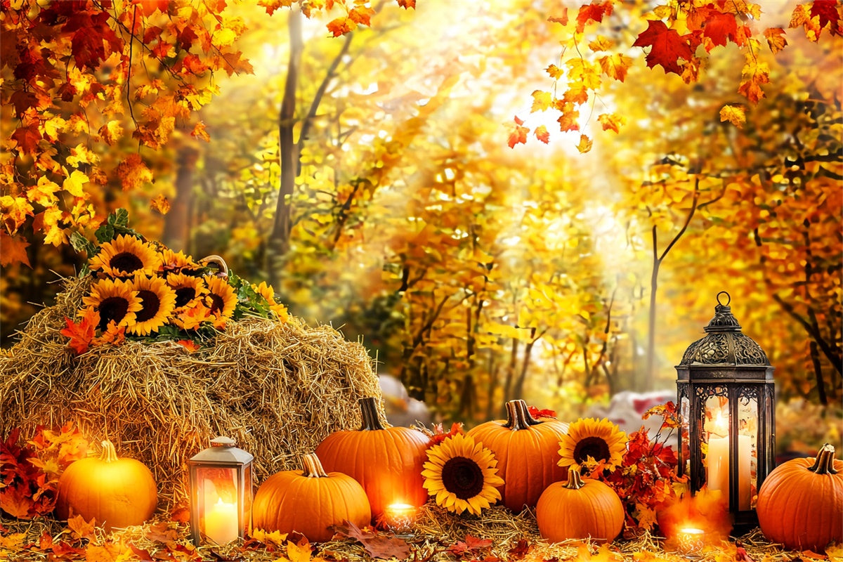 Herbst Wald Backdrop Kürbis Glühen Wald Fotohintergrund LXX57-178