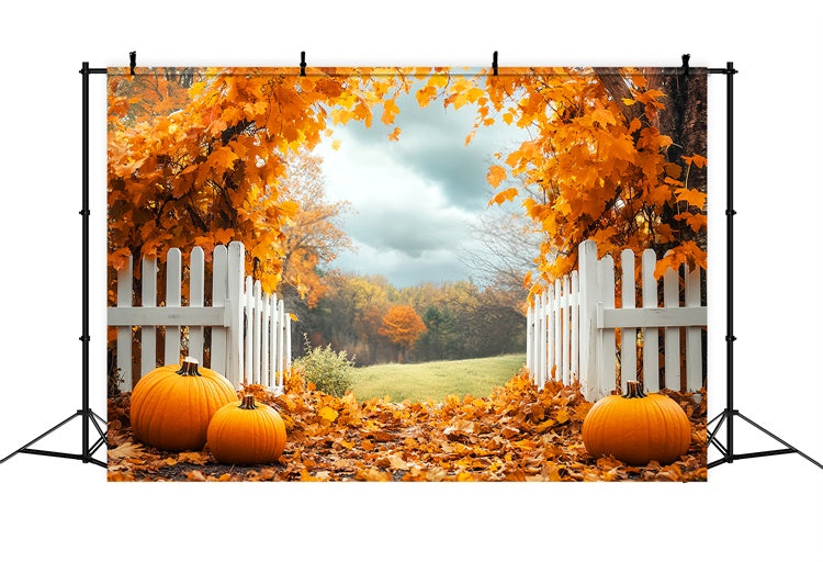 Herbstblätter Hintergrundkulisse Kürbishain Zaun Fotohintergrund LXX57-179