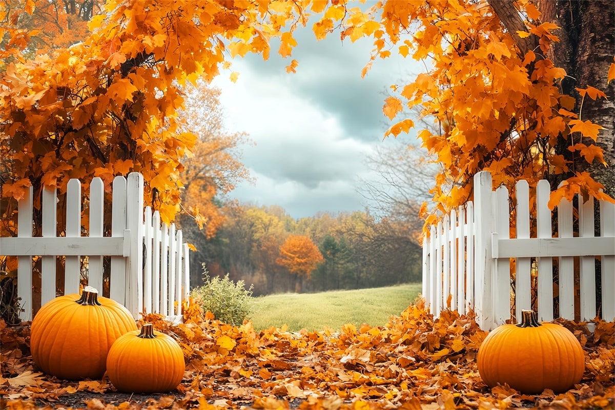 Herbstblätter Hintergrundkulisse Kürbishain Zaun Fotohintergrund LXX57-179