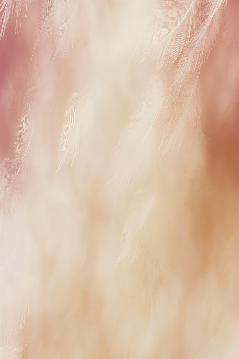 Fotoportrait Hintergrundkulisse Feather Blush Glow Hintergrundkulisse LXX57-253