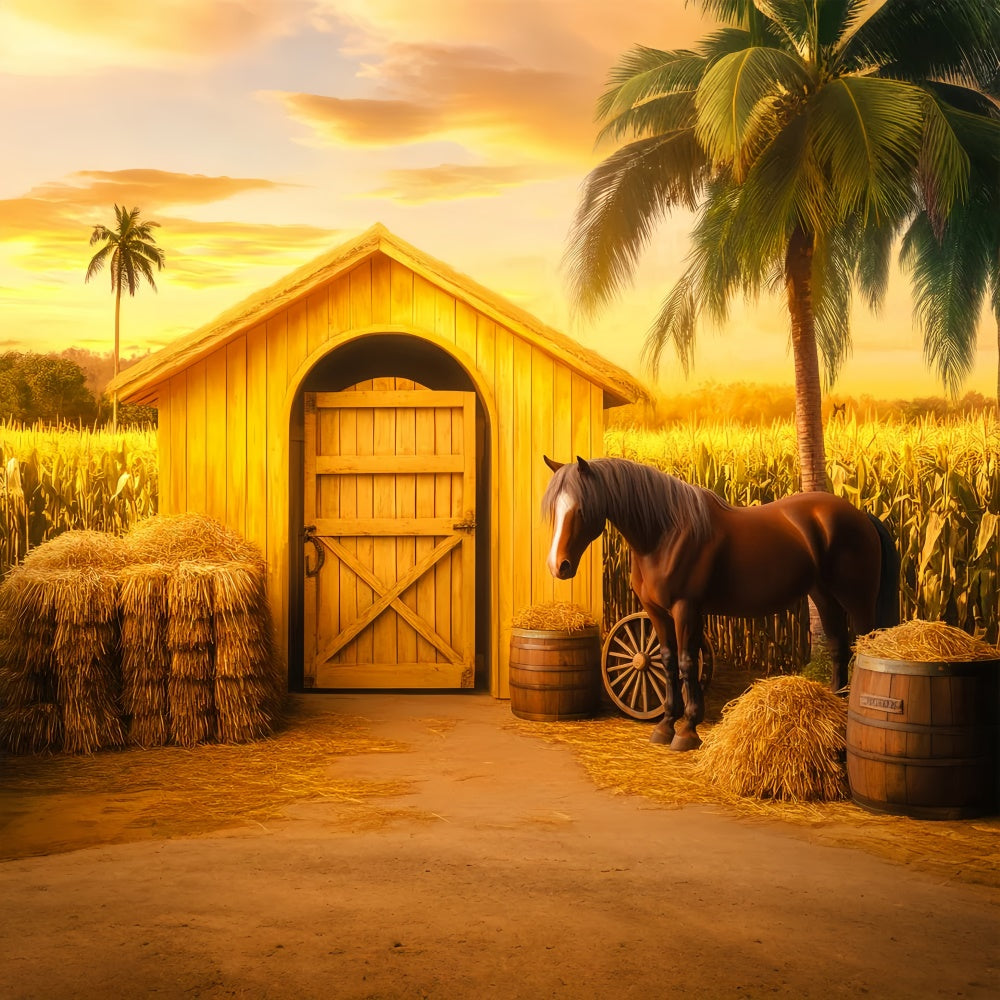 Scheune Backdrops Goldenes Kornfeld Pferde Foto Hintergrund LXX57-372