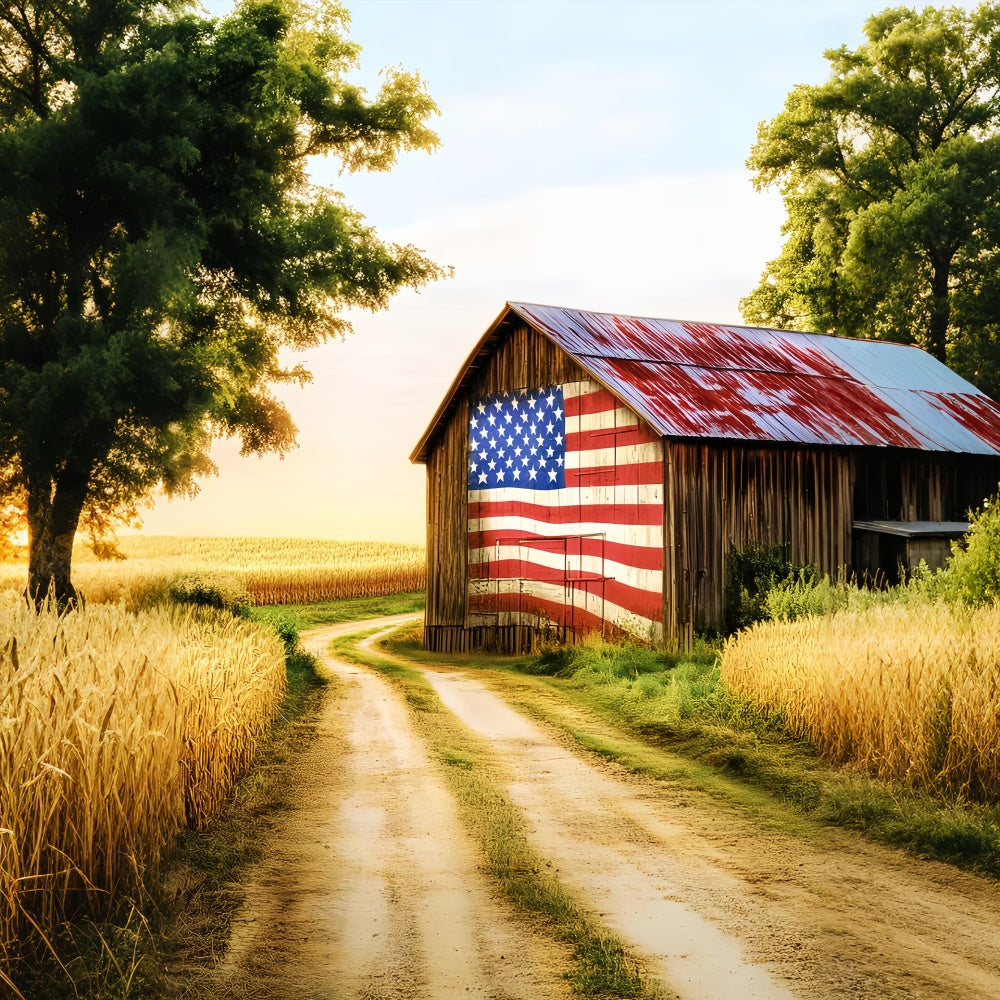 Rustikale Scheune Backdrop Patriotische Farm Scheune Foto Hintergrund LXX57-387