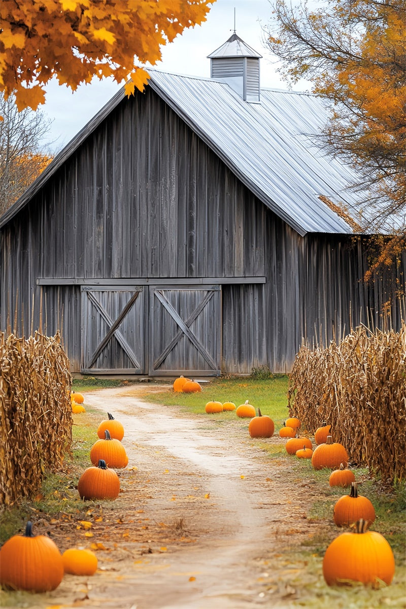 Barn Backdrop Rustic Harvest Trail Herbst Foto Hintergrund LXX57-399