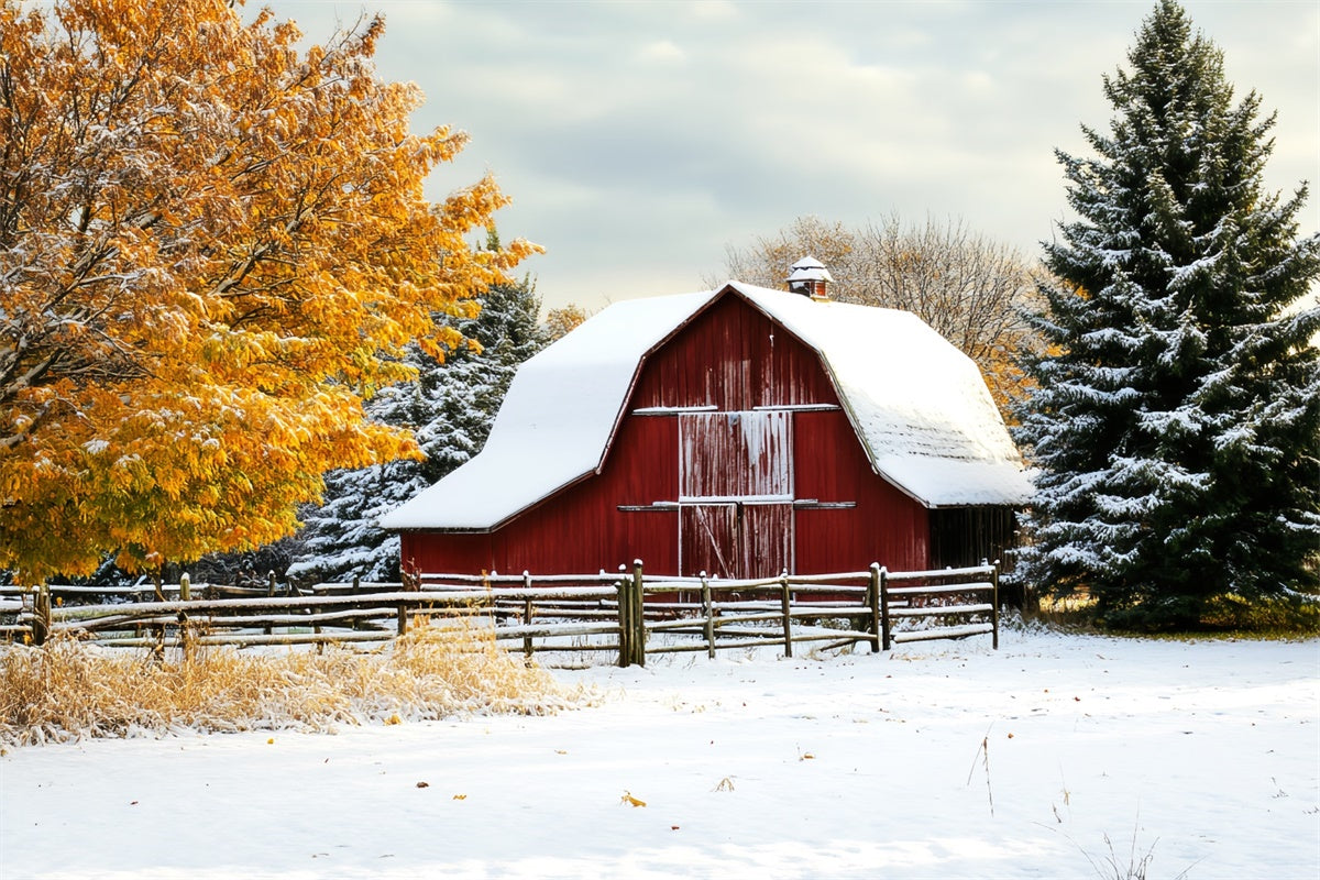 Rote Scheune Hintergrund Winterernte Scheune Foto Hintergrund LXX57-409