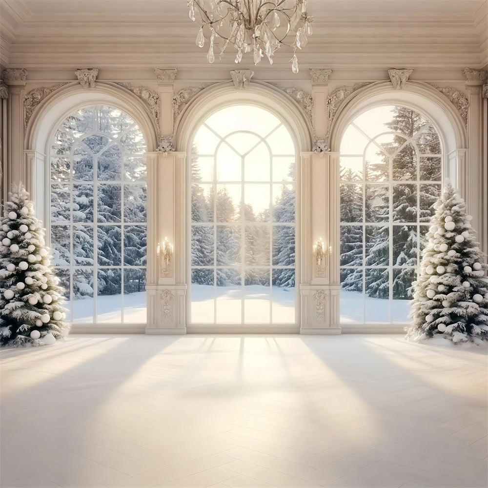 Winter-Fenster-Fotohintergrund verschneiter Winterwald Bäume Winter-Fotohintergrund LXX58-235