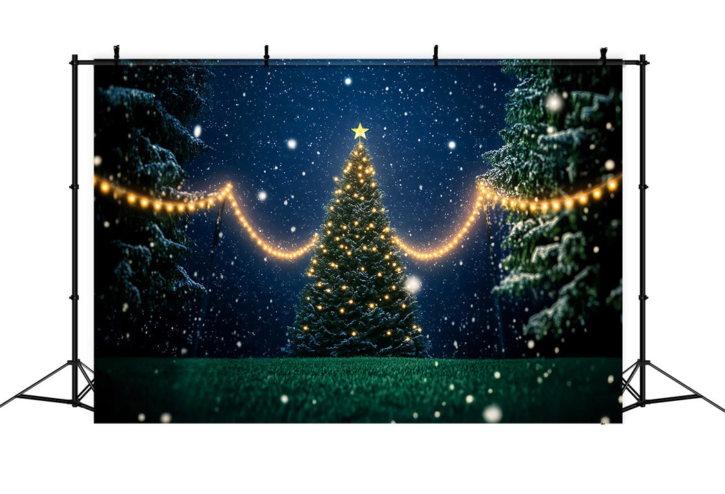 Nachtwald Verschneite Weihnachtsbaumlichter Verschneiter Wald-Foto Hintergrund LXX58-302