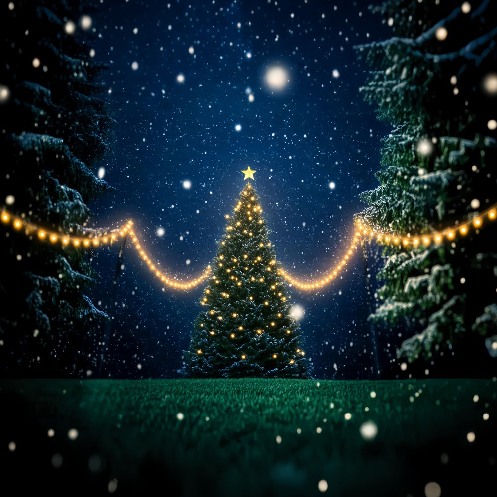 Nachtwald Verschneite Weihnachtsbaumlichter Verschneiter Wald-Foto Hintergrund LXX58-302
