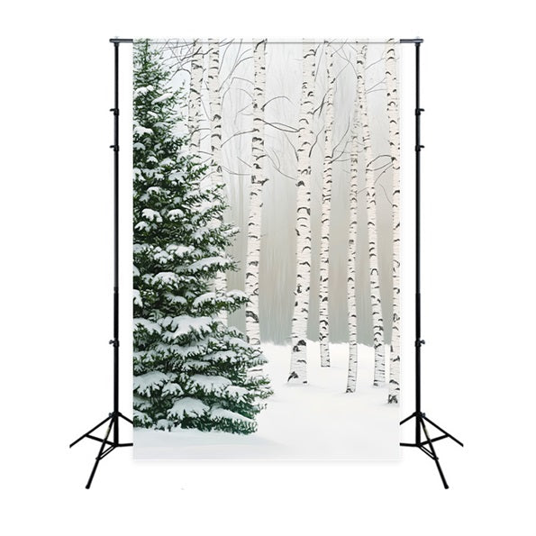 Kiefernwald Birkenhain Schneekiefern Winterwald Foto Hintergrund LXX58-307
