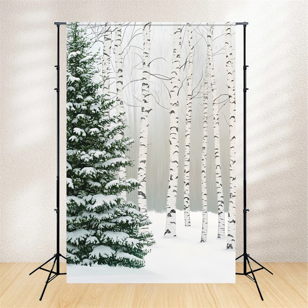 Kiefernwald Birkenhain Schneekiefern Winterwald Foto Hintergrund LXX58-307