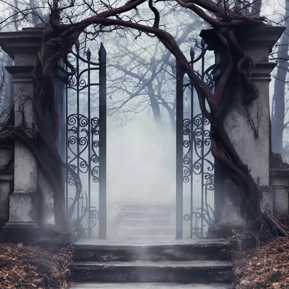 Spukwald Fotohintergrund Nebligem Friedhof Eisentor Halloween-Fotohintergrund LXX59-125