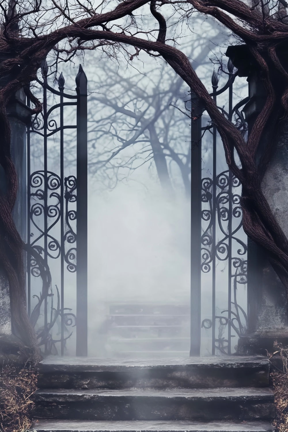 Spukwald Fotohintergrund Nebligem Friedhof Eisentor Halloween-Fotohintergrund LXX59-125