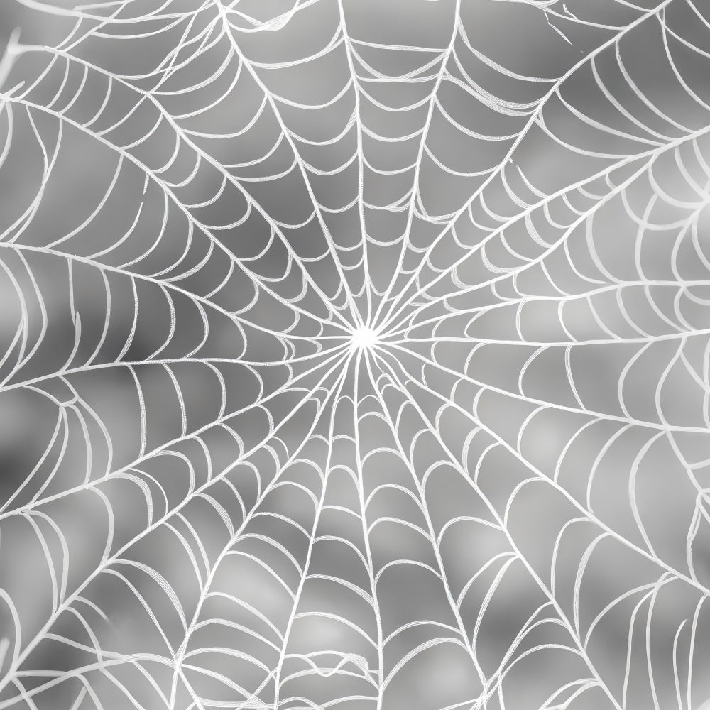 Halloween-Farbbackdrop Silbernes Spinnennetz-Musterdesign Halloween-Fotobackdrop LXX59-148