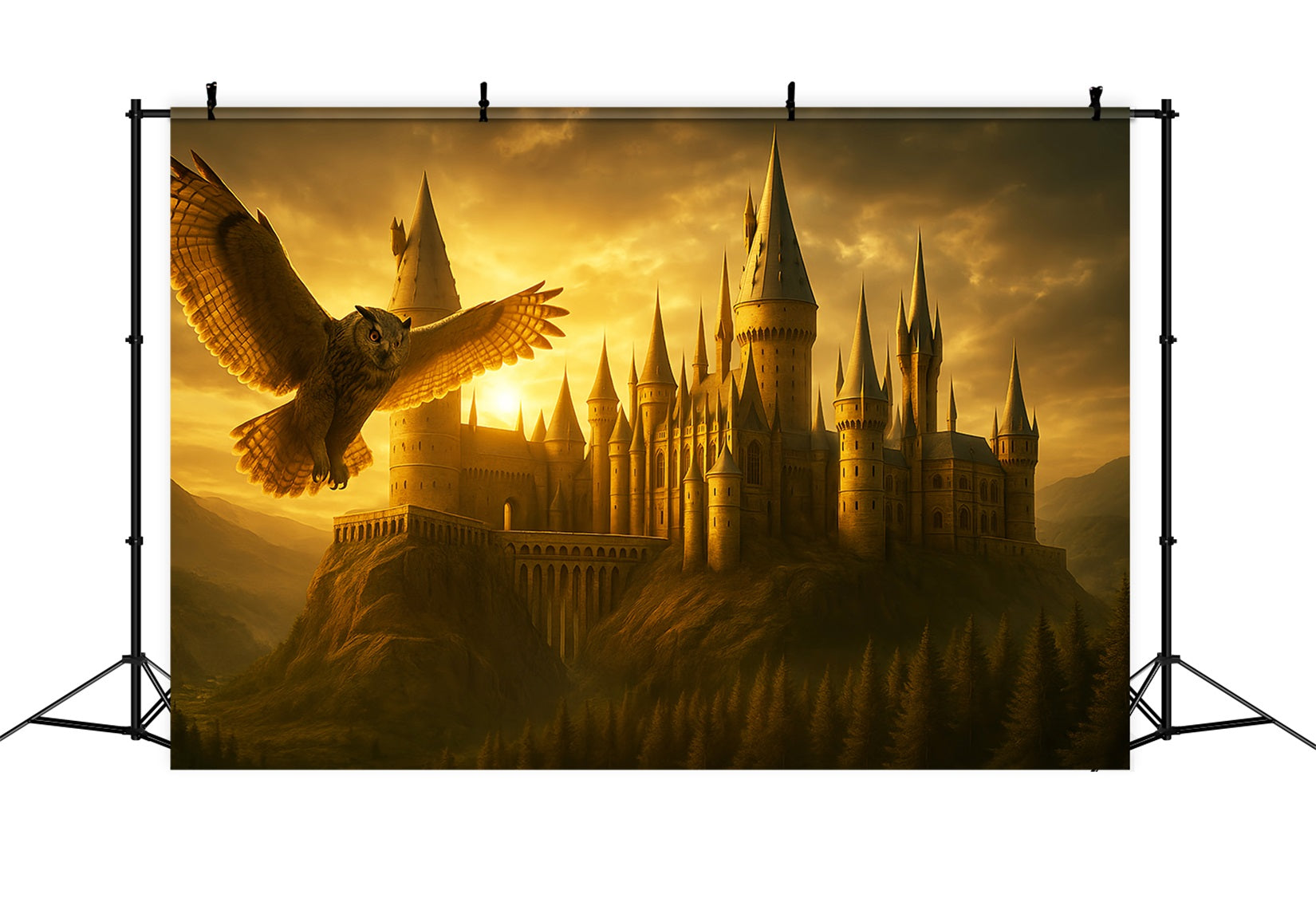 Fotohintergrund für den Schulanfang Goldenes Schloss Fliegende Eule Schulfoto-Fotohintergrund LXX59-213