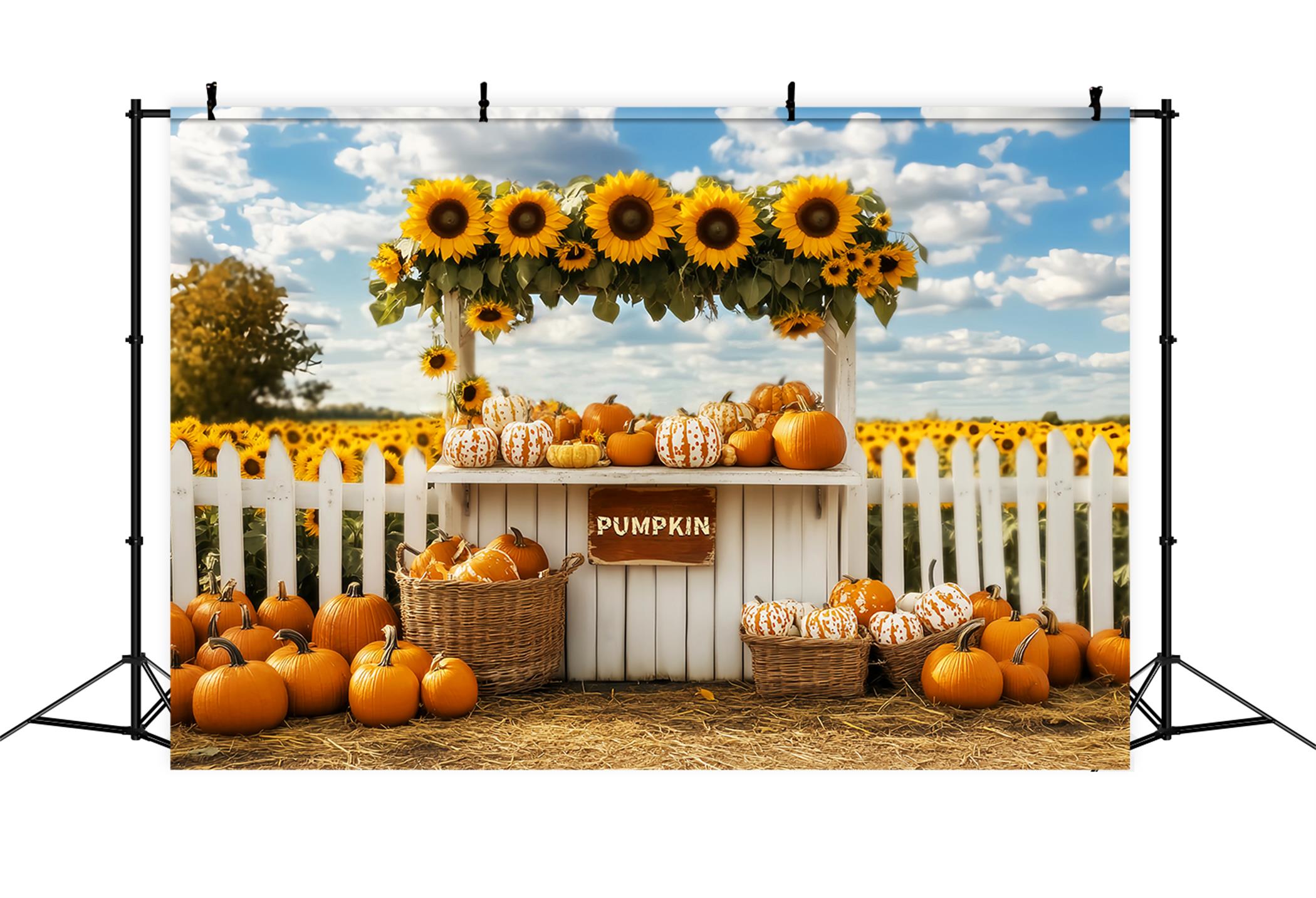 Herbstkulisse Kürbis Sonnenblumen Marktstand Herbstfotokulissen LXX59-266