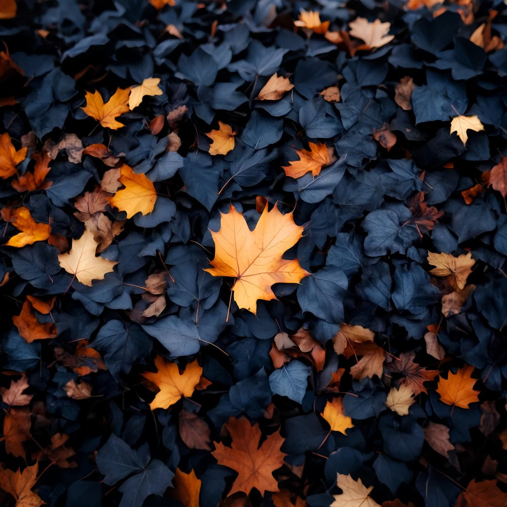 Herbsthintergrund Knackiger Herbst Fallen-Blätter-Muster Herbst-Fotohintergründe LXX59-281