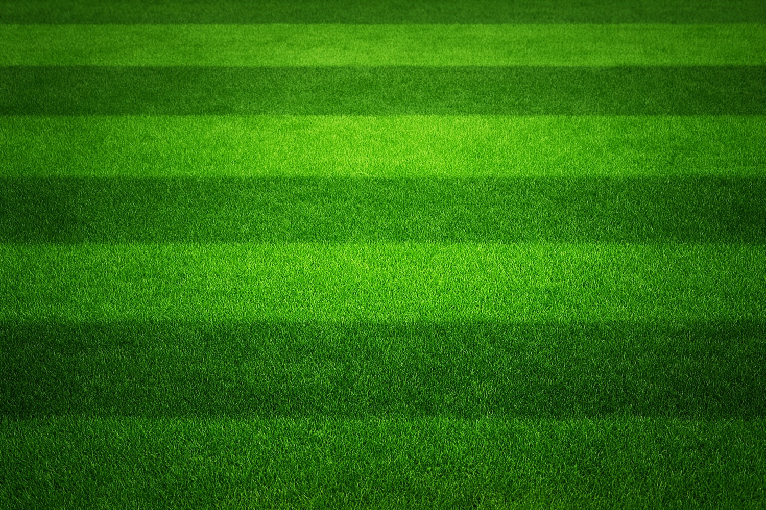 Sport-Fotohintergrund Gestreifter grüner Rasen Fußballfeld-Fotohintergrund LXX59-323