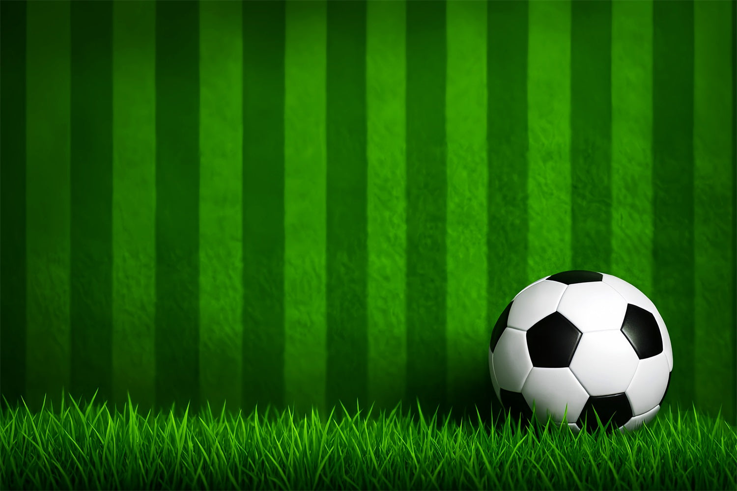 Fußball-Studiohintergründe Gestreiftes Gras Fußball Sport-Studiohintergründe für Fotografie LXX59-331