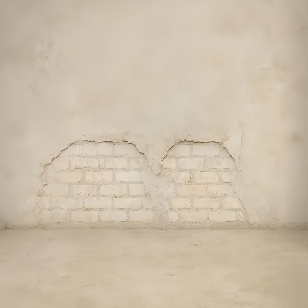 Betonwand-Fotohintergrund Helle Ziegel Vintage-Textur Schulporträt-Fotohintergrund LXX59-422