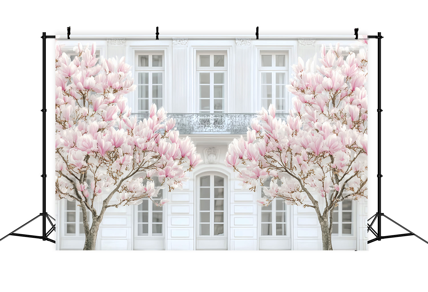 Europa-Fotohintergrund Pariser Magnolie Weiße Fassade Pariser Fotohintergrund LXX59-48