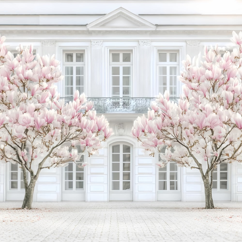 Europa-Fotohintergrund Pariser Magnolie Weiße Fassade Pariser Fotohintergrund LXX59-48