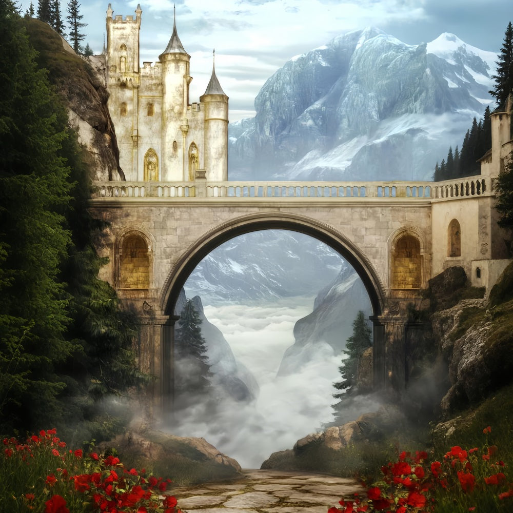 Europa-Fotohintergrund Burg Brücke Nebliges Tal Paris-Fotohintergrund LXX59-55