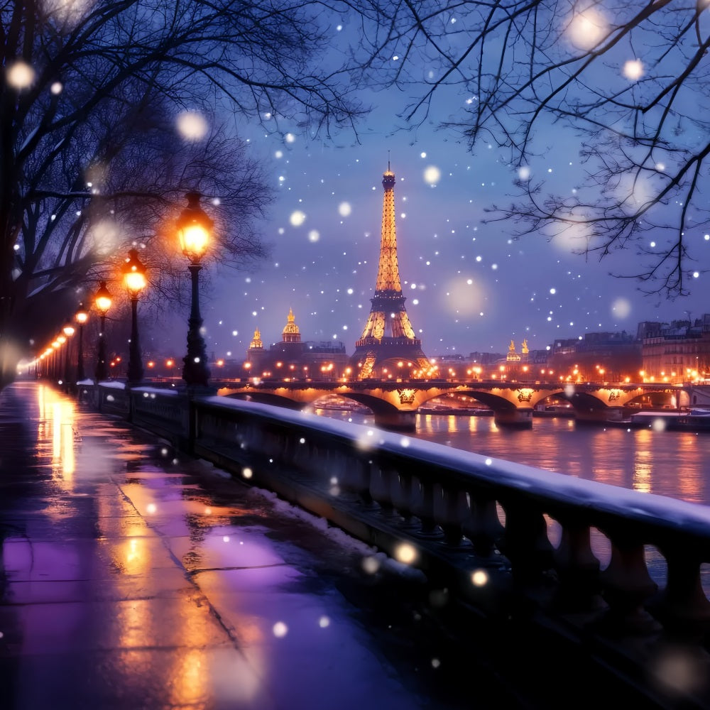 Eine Nacht in Paris Fotohintergrund Eiffelturm Winterglanz Paris Hintergründe LXX59-65