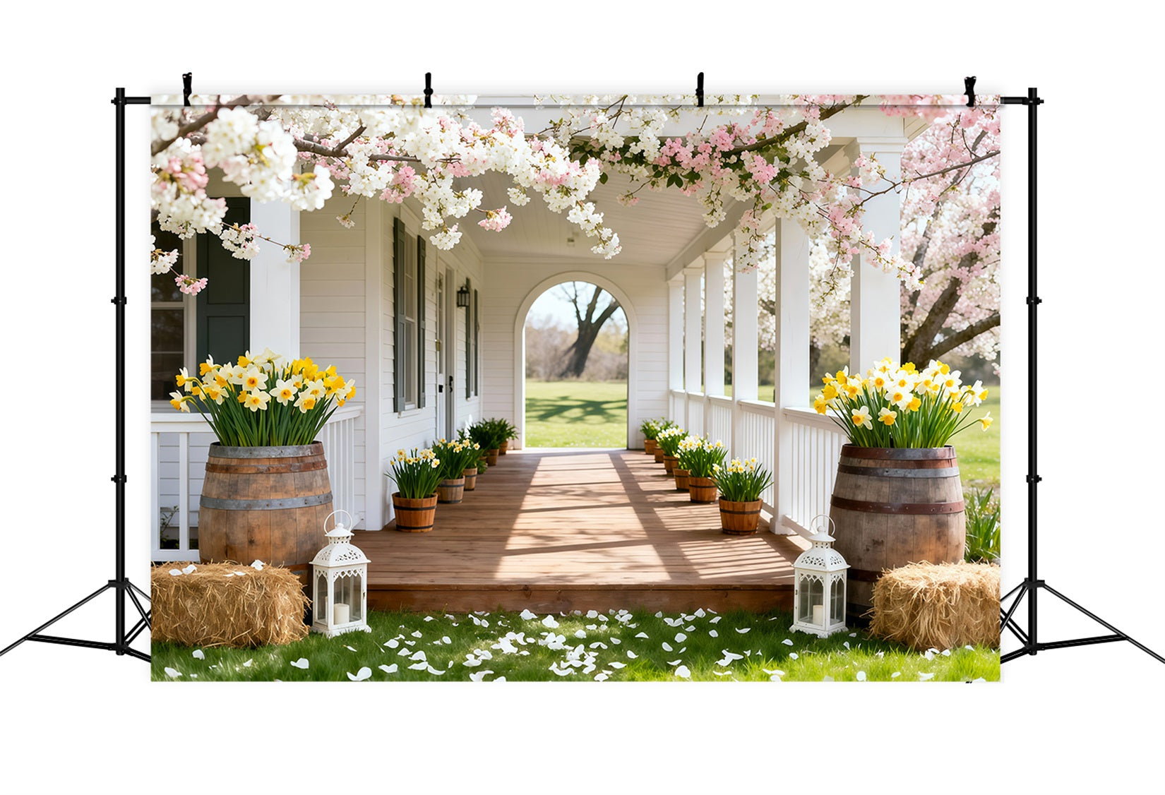 Narzissen-Hintergrund Kirschblüten-Veranda mit Blumenhintergrund für Fotos LXX61-203