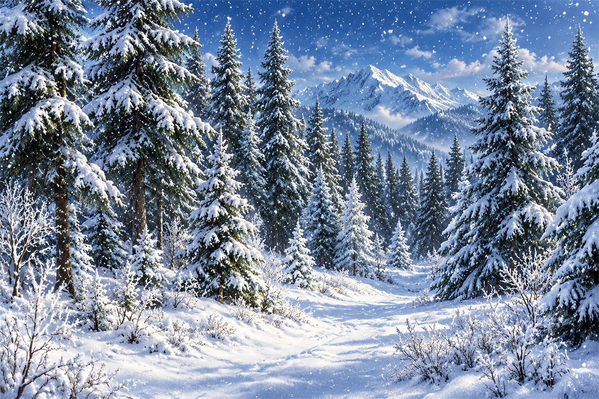 Weihnachtlicher Fotohintergrund Verschneiter Laternen-Torbogenweg LXX610-173