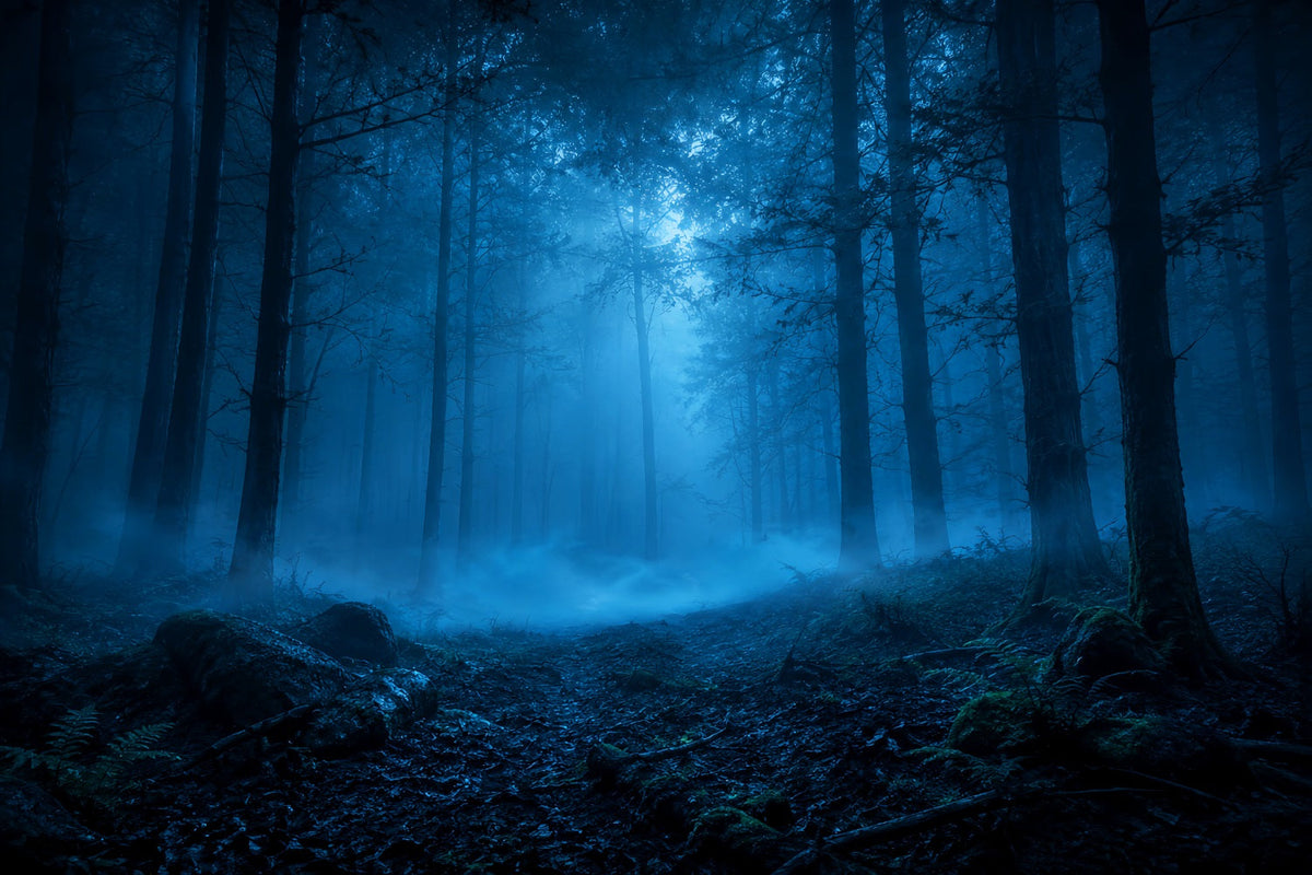 Halloween-Waldkulisse Mondbeschienener Blauer Nebelwald Vintage-Halloween-Kulisse LXX67-141