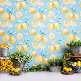 Zitronen Pflanzen Dekorations Fotografie Hintergrund M-34