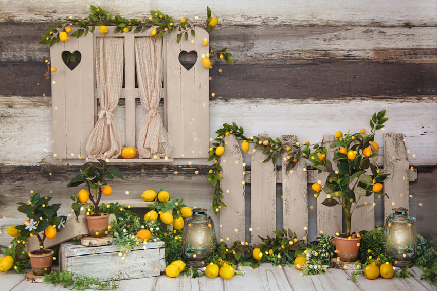 Sommer Fotografie Zitronenbaum Scheunen Hintergrund M-35