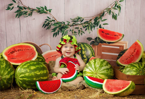 Sommer Wassermelonen Holz Fotokabinen Hintergrund M-41
